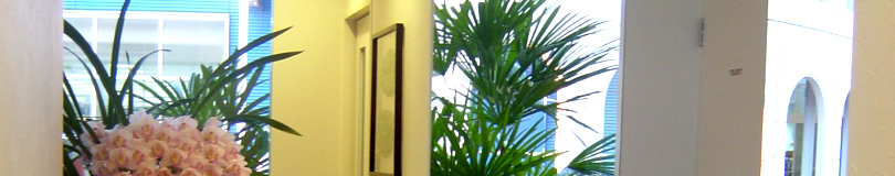 愛知県、歯を抜かない矯正治療(非抜歯矯正)、矯正専門歯科医院